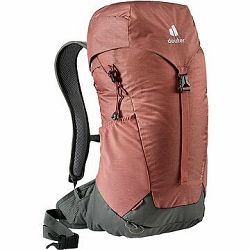 Deuter AC Lite 24 redwood-ivy