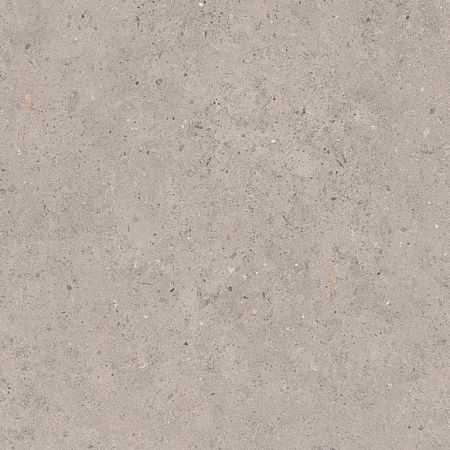 Biophilic grey 60x60 8,5MM GRIP