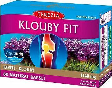 TEREZIA KLOUBY FIT 60 kapslí